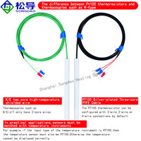 PT100 PTFE Probe Anti-corrosion Acid Alkali Resistant Thermocouple PTFE Temperature Sensor Optical Rod Probe Temperature Sensing