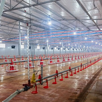 Système Automatique d'Alimentation et d'Abreuvement pour Volailles (Poulets, Canards, Dindes) – Équipement Complet Réglable en Hauteur pour Ferme