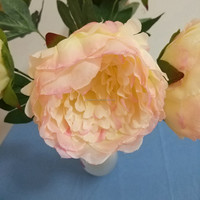 Fleurs en soie réalistes promotionnelles RTS, livraison rapide, 5 #   Grandes têtes de pivoines D12cm rose clair pour arche murale, chemin de table, Pâques