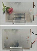 Vente en gros Rouleau de film Pdlc Film électrochromique Vitre Intelligent Pelcula Pdlc Partition Verre Confidentialité Film Pdlc auto-adhésif