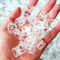 PVC PP PVDF Form Kunststoff Pall Ring für Tower Random Packing Langlebige und effiziente Material modellierung