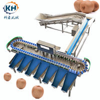 Universele automatische sorteermachine voor het verwerken van uien, knoflook, bosbessen & zeevruchten, gespecialiseerd in aardappelen