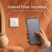 Interrupteur mural tactile intelligent WiFi Bingoelec sans fil neutre, panneau en verre trempé pour maison connectée