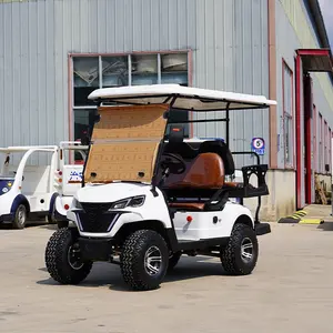 Diskon produk kustom Tiongkok, jeep 4 roda jalan hukum berdiri listrik kereta dorong golf