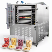 Machine de lyophilisation facile à utiliser pour kiwi, mandarine, citron, lime – Équipement de séchage par congélation sous vide pour l'industrie alimentaire