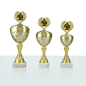 Serie di Coppe di Boxe Saida (3 Taglie) - Product Image 1