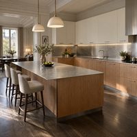 Armoires de cuisine modernes sur mesure en acier inoxydable 304 avec portes à panneaux plats et îlot, plan de travail résistant aux rayures pour villas côtières
