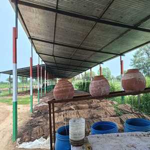 Vente à prix imbattable de compost organique indien de 1 kg - Qualité supérieure, qualité d'exportation - Product Image 6