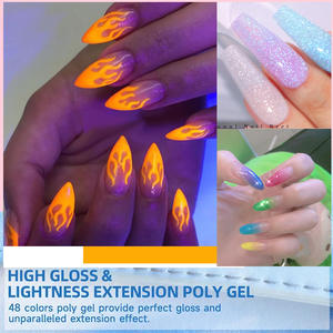 Warna poli Gel akrilgel grosir profesional kustom pemoles Label pribadi Gel akrilik Gel ekstensi kuku - Product Image 4