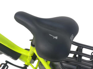 QUEENE/2024 nouveau vélo électrique <span class=keywords><strong>20</strong></span> <span class=keywords><strong>pouces</strong></span> Step Through Fat Tire 48V 750W 1000W ville Ebike vélo électrique tout-terrain pour unisexe - Product Image 5