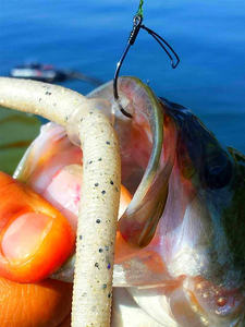 Aangepaste Senko Wormen Vishaken Gootsteen-O-Ring Gekke <span class=keywords><strong>Rig</strong></span> Kit O Ring Geen Gereedschap Nodig Gebruik Rigs - Product Image 5