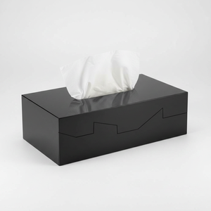 Spirella Silhouette Collection, Boîte à mouchoirs 24,8x12,8x8 cm, ABS, Noir - Product Image 2