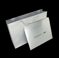 Sacs en papier argenté de luxe avec logo personnalisé, ruban et pelliculage pour parfums masculins, diffuseurs de parfum et sacs cadeaux pour événements