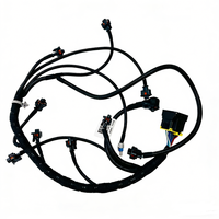 Arnés de Cableado de Inyección de Combustible para Motor, ODM OEM