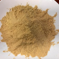 Approvisionnement à long terme de poudre de gingembre séchée 100% pure, sans additifs, sans soufre, poudre fine 40-120 mesh, épice