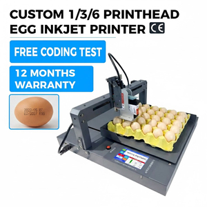 Macchina Automatica Multicolore per la Stampa della Data di Scadenza su Uova, Sistema di Codifica per Uso Agricolo, Tipo TIJ per Codifica su Metallo - Product Image 1
