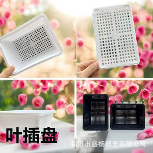 Bac de propagation pour la coupe de feuilles, rectangulaire, en plastique, avec trous de drainage, pour la plantation de plantes succulentes, usage en pépinière - Product Image 1