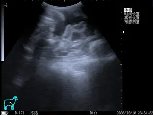 Draagbare Veterinaire B/W Ultrasone Systeem 5.6 Inch Led Mdeidcal Display Handheld Digitale Veterinaire Echografie Scanner - Product Image 2