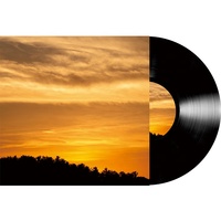 Custom Promotie 12 "Lp 180 Gram Muziekschijf Voor Vinyl Platenspeler Zwart Vinyl Plaat Drukken