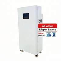 Kabinet Baterai Penyimpanan Energi 51.2V 314Ah 16Kwh Andal untuk Sistem Tenaga Surya Hibrida Rumah Tangga