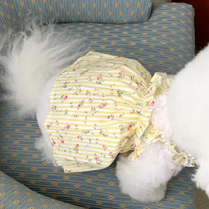 สีเหลือง