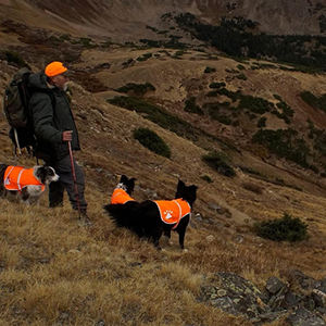 Gilet <span class=keywords><strong>de</strong></span> sécurité réfléchissant pour chien protège les animaux domestiques des voitures et des accidents <span class=keywords><strong>de</strong></span> <span class=keywords><strong>chasse</strong></span>, jaune fluorescent haute visibilité - Product Image 5