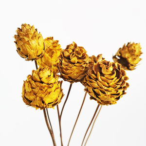 <span class=keywords><strong>Flora</strong></span> — fleurs décoratives d'intérieur pour la maison, vente en gros, motifs de cône de pin sec naturel, fournitures de fleurs pour bouquet, été - Product Image 2