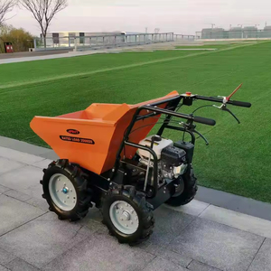 <span class=keywords><strong>Brouette</strong></span> motorisée 4x4 ANT avec moteur, roulement et boîte de vitesses, capacité de charge de 250 kg pour les <span class=keywords><strong>travaux</strong></span> agricoles et de jardinage - Product Image 1