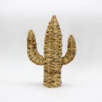 Décoration créative pour la maison, ornement spécial en jacinthe d'eau, Cactus, Sculpture, objet de décoration