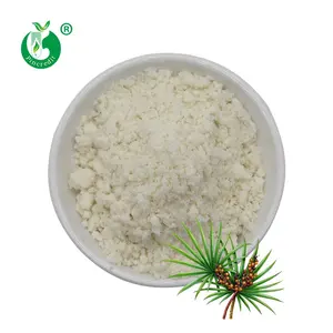 Wholesale Herbal Supplements Palm Fatty Acid 100% Natural Pure Saw Palmetto Fruit Extract Powder
