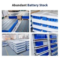 5kw 10kw 15kw EVE MB31 314ah 3.2V lifepo4 sistem penyimpanan energi baterai cell lifepo4 314ah lifepo4 baterai untuk penyimpanan daya