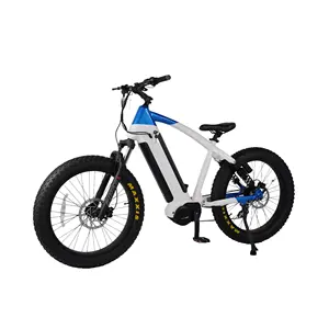 1000Wパワー長距離26インチファットタイヤ電動自転車、リアハブモーター付き人気バイク750W電動自転車