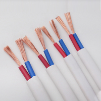 RVVB 300/500V Reinkupfer PVC-Isoliertes Kupferkabel Elektrisches Baukabel Weißes Zwillings- und Erdungskabel