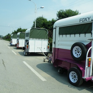 Semi-remorque économique HERUI pour deux chevaux, double essieu, freins électriques, capacité de charge de 4 tonnes, fabriquée en Chine pour le transport de chevaux - Product Image 5