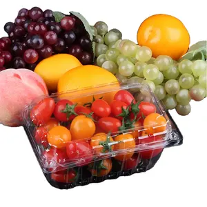 Beste Prijs Fruit Clamshell Box Diepe Modulaire Latch Box Fruitcontainer Doorzichtige Plastic Fruitcontainer