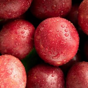 Buah gairah segar manis dan lezat musiman - Product Image 4