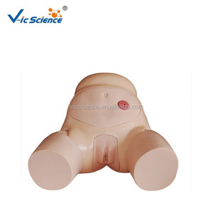 Modèle avancé de cathétérisme féminin avec urètre et bassin simulés pour la pratique clinique des étudiants en soins infirmiers et l'enseignement médical - Product Image 2