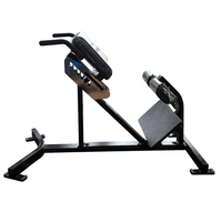 Banc d'extension dorsale pour le renforcement du bas du dos, chaise romaine d'hyperextension pour la maison et la salle de sport