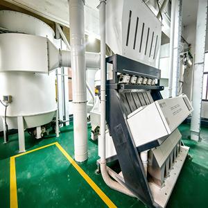 Moulin à <span class=keywords><strong>farine</strong></span> de blé 100TPD à faible consommation d'énergie pour une exploitation économique et durable à long terme, approvisionnement en gros - Product Image 3