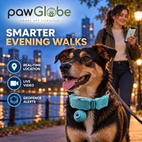Collier GPS pour animaux de compagnie avec caméra pour l'entraînement et le suivi en extérieur des chiens et des chats, OEM ODM, marque privée, vente en gros et au détail PawGlobe