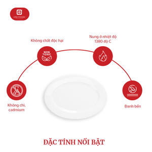 Platos de porcelana ovalados OEM: vajilla Premium para hoteles y restaurantes | Fabricante mayorista - Product Image 2