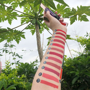 Label Pribadi Terbaik Lipstik Matte Cair Gula Tahan Ciuman Vendor Kosmetik Cina - Product Image 6