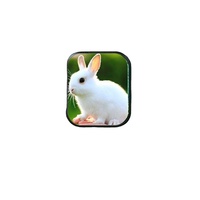 personnalisée de 1.85 pouces panneau à écran tactile Micro montre intelligente Tft Modules d'affichage à cristaux liquides