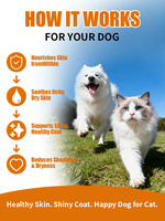 Pevet Premium Coat Guard Soft Chews : Réduit la perte de poils, renforce la peau, apaise et stimule l'immunité – Soin quotidien pour animaux de compagnie à base de betterave et de lin naturels