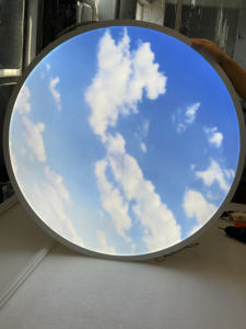 Lumin 400 直径蓝光治疗圆形面板 模拟日光圆环云天灯 人体中心圆形LED天顶灯 - Product Image 4