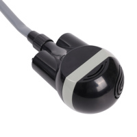 Douche de camping portable 12V, kit de pompe de douche électrique d'extérieur avec pompe submersible, tuyau, pomme de douche et crochet à ventouse