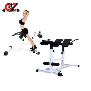 CZFIT Silla Romana Multifuncional de Alta Calidad, Máquina de Entrenamiento Integral, Máquina de Ejercicios para el Core, Personalizable - Product Image 1