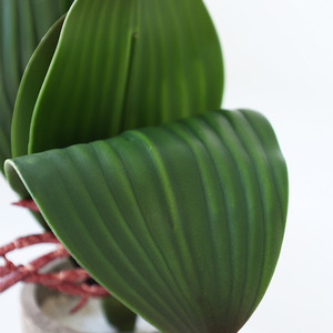 Plante en pot de phalaenopsis artificielle Ruilisi, feuilles très réalistes, décoration intérieure, verdure d'intérieur - Product Image 4