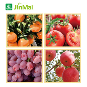 Engrais composé NPK 15-0-30 Calcium Magnésium Haute teneur en potassium <span class=keywords><strong>pour</strong></span> l'expansion des fruits et l'amélioration du rendement - Product Image 4