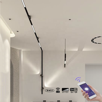 15w 30w dimmbare Fernbedienung magnetische Wand Mini-LED-Schienen gitter Kugel schienen lichts ystem für magnetische Pendel leuchten